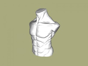 masculino torso arte escultura 3d print model - Mito3D