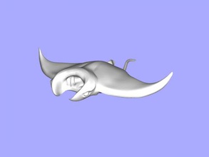 manta ray toys animals 3d print model - Mito3D