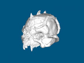 mystical skull art sculpture 3d print model - Mito3D