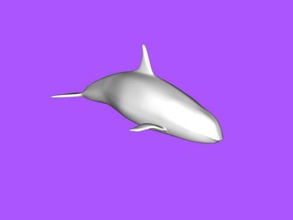 orca free 3d model - download stl file Toys Animals dangerous predator ocean 3d print model - Mito3D