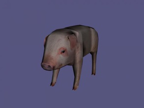 Schwein Kostenlose 3d-Modell - download obj-Datei Spielzeug Tiere village pet 3d print model - Mito3D