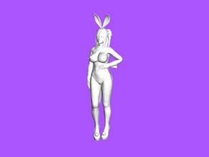 playboy girl toys people 3d print model - Mito3D