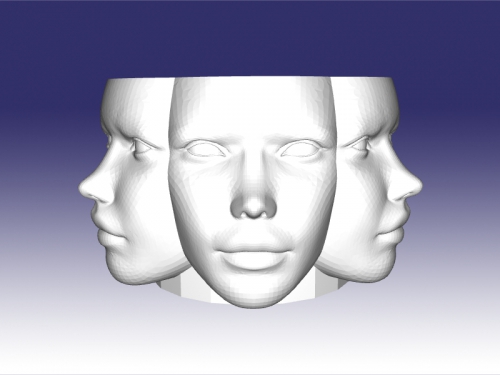 pot faces free 3d model - download stl file Home Interior beautiful flower 3D print model - Mito3D