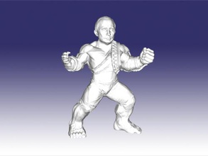 mettere in hulk giocattoli 3d print model - Mito3D