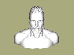 ragnar lodbrok buste art sculpture 3d print model - Mito3D