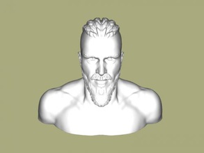 ragnar lodbrok büst sanat heykel 3d print model - Mito3D