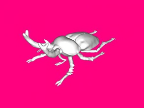 arcobaleno cervo volante gratuita modello 3d - scaricare il file stl I giocattoli Animali di rara bellezza bug 3d print model - Mito3D