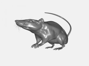 rat toys animals 3d print model - Mito3D