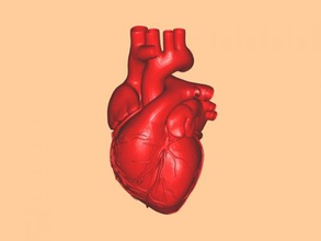 real heart toys people 3d print model - Mito3D