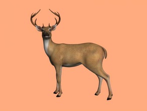 realistic deer free 3d model - download obj file Toys Animals figurine beautiful textures 3d print model - Mito3D