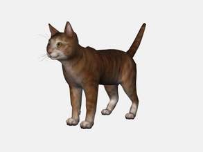 kırmızı kedi obj oyuncaklar hayvanlar 3d print model - Mito3D