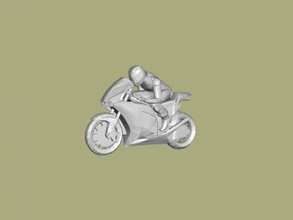 rider on bike toys people 3d print model - Mito3D