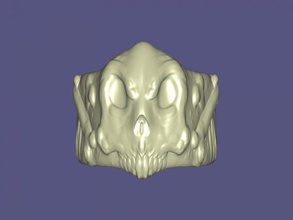scary ring fashion ornaments 3d print model - Mito3D