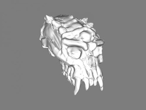 effrayant crâne gratuit modèle 3d - téléchargement de fichier stl Art La Sculpture créature extraterrestre 3d print model - Mito3D