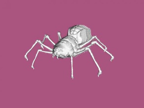 effrayant spider gratuit modèle 3d - télécharger le fichier obj Les jouets Animaux réaliste dangereuse araignée 3d print model - Mito3D