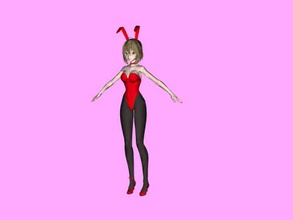 sexy bunny obj toys cartoons 3d print model - Mito3D