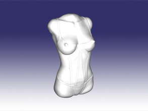 sexy büste kunst skulptur 3d print model - Mito3D