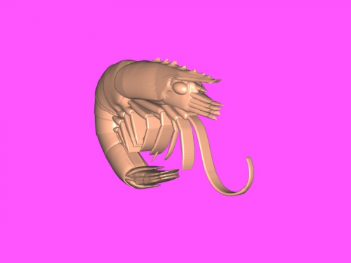 shrimp toys animals 3D print model - Mito3D