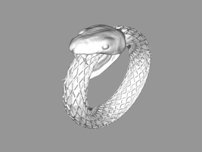 simple snake ring fashion ornaments 3d print model - Mito3D