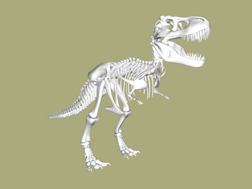 esqueleto of dinossauro brinquedos animais 3D print model - Mito3D