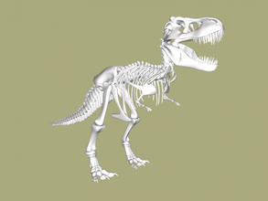 esqueleto of dinossauro brinquedos animais 3d print model - Mito3D
