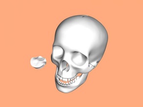 skull bank home accessories 3d print model - Mito3D