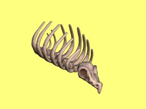 ossos do crânio 3d sem modelo - baixar arquivo obj Brinquedos Animais permanece incompreensível animal 3d print model - Mito3D