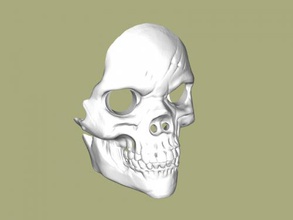 skull facemask fashion accessories 3d print model - Mito3D