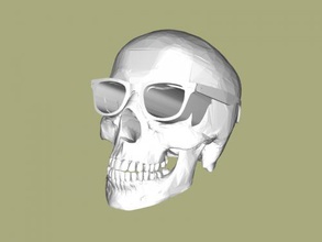 cráneo in lentes arte escultura 3d print model - Mito3D