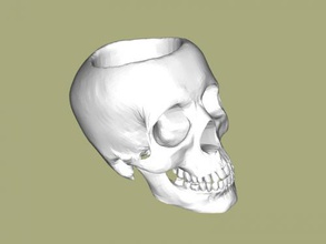 crâne titulaire soutien accueil maison accessoires 3d print model - Mito3D