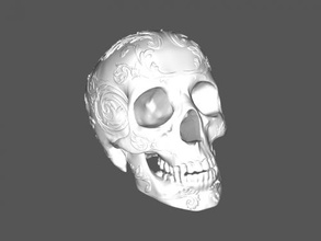 cranio ornamento arte scultura 3d print model - Mito3D