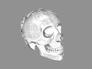 cranio immagini arte scultura 3d print model - Mito3D