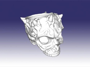 skull pot home accessories 3d print model - Mito3D