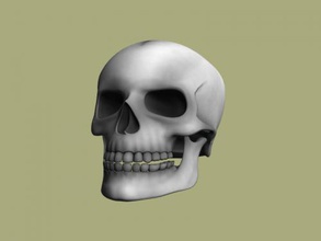 skull textures obj art sculpture 3d print model - Mito3D