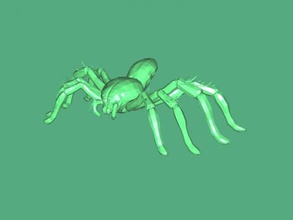 spider long legs toys animals 3d print model - Mito3D