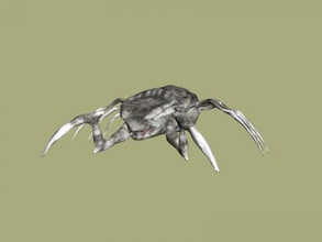 örümcek mutant free 3d model download n dosya Oyuncaklar Hayvanlar pençeleri 3d print model - Mito3D