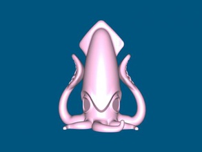 squid banka ücretsiz 3d model download stl dosyası Ev Aksesuarlar en orijinal dosya 3d print model - Mito3D