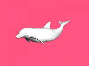 swimming dolphin free 3d model - download stl file Toys Animals beautiful intelligent water mammal 3d print model - Mito3D