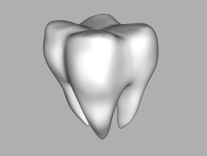 tooth obj art sculpture 3d print model - Mito3D