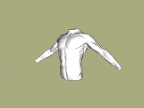 torso of athlete art sculpture 3d print model - Mito3D
