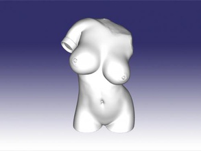 torso of beauty obj art sculpture 3d print model - Mito3D