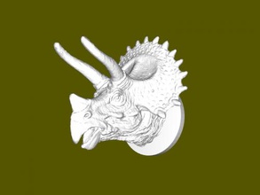 triceratop knopf zuhause haus zubehör 3d print model - Mito3D