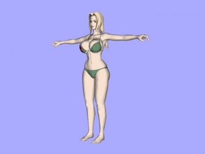 tsunade free 3d model - download obj file Toys Cartoons one main characters naruto obj file 