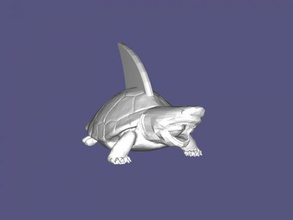 schildkrötenhai spielzeuge tiere 3d print model - Mito3D
