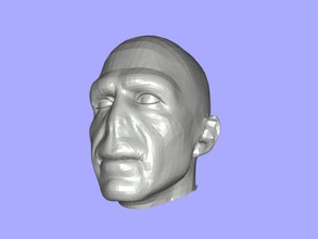 voldemort tête jouets films 3d print model - Mito3D