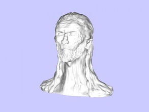 white walker head free 3d model - download stl file Art Sculpture mythological race mentioned ancient legends 3d print model - Mito3D