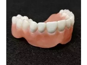  denture maxillary separate teeth files free 3d model teeth free education denture dental