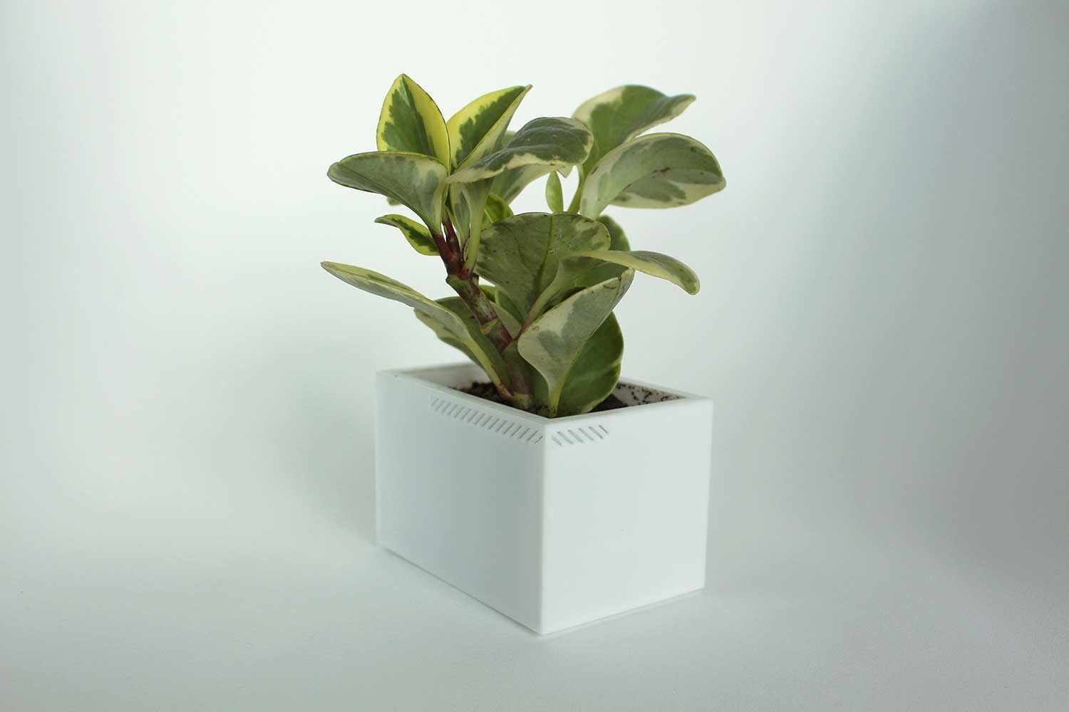 003h - planter small rectangular house plant pot roots saucer accessories 3D print model - Mito3D