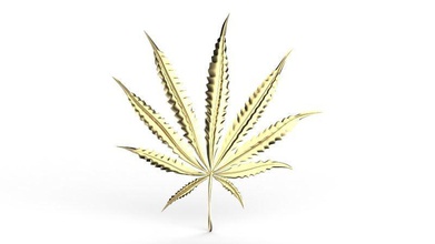 3d 9 leaf hemp cannabis marijuana nature herb dope tree hash flora reefer medicine model buddha science 3d print model - Mito3D
