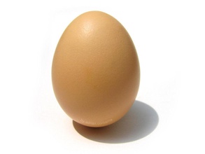 3d huevo la ciencia de pollo animal aves gallina biología 3d print model - Mito3D